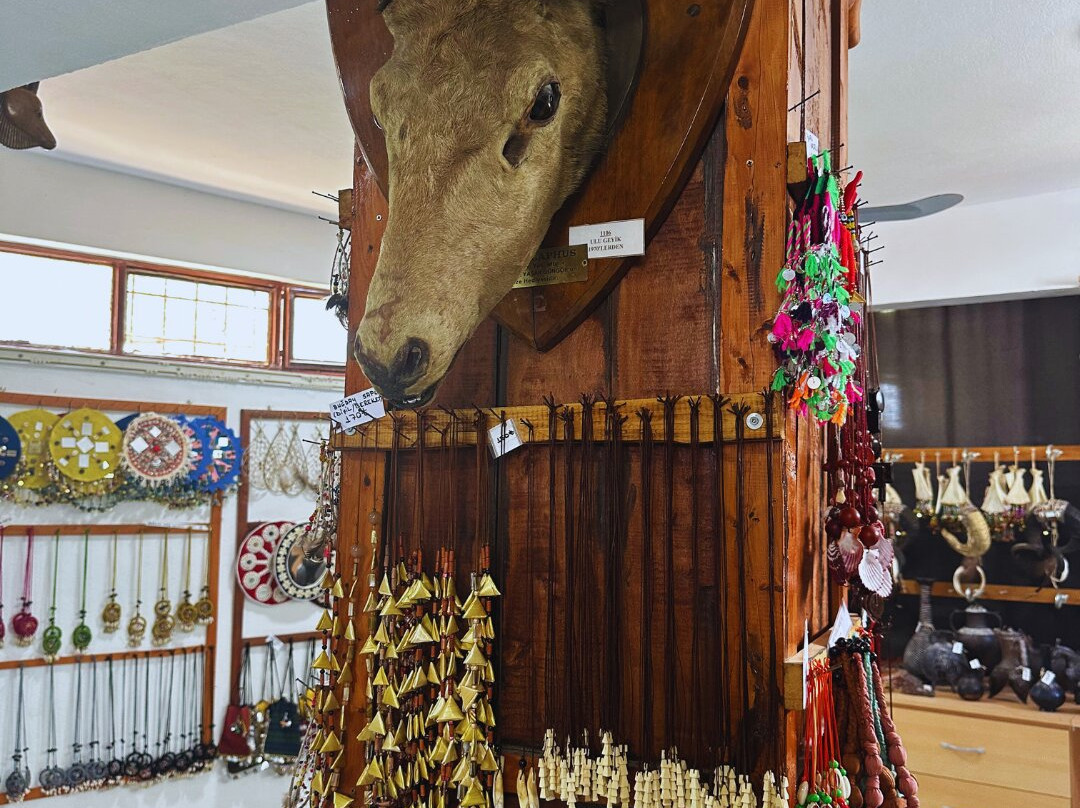 Tahtakuslar Museum-巴勒克西尔必去景点