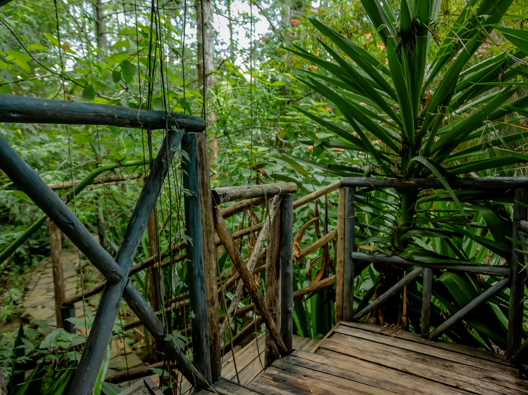 Fravan Eco Resort主图