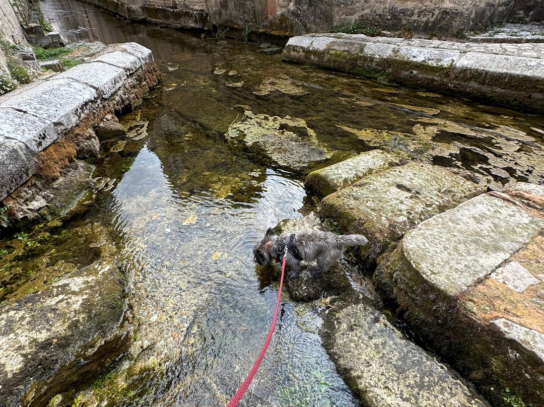 La Fosse Dionne-Tonnerre必去景点
