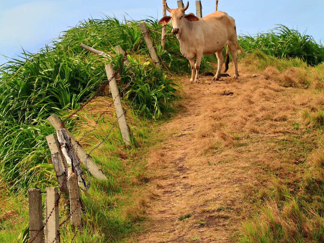BISUMI Tour & Services-Basco必去景点