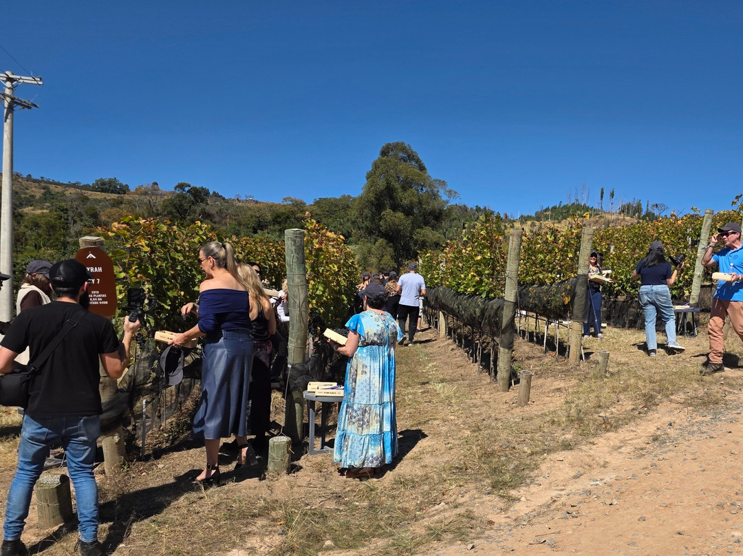 Vinícola Amana-Espirito Santo Do Pinhal必去景点