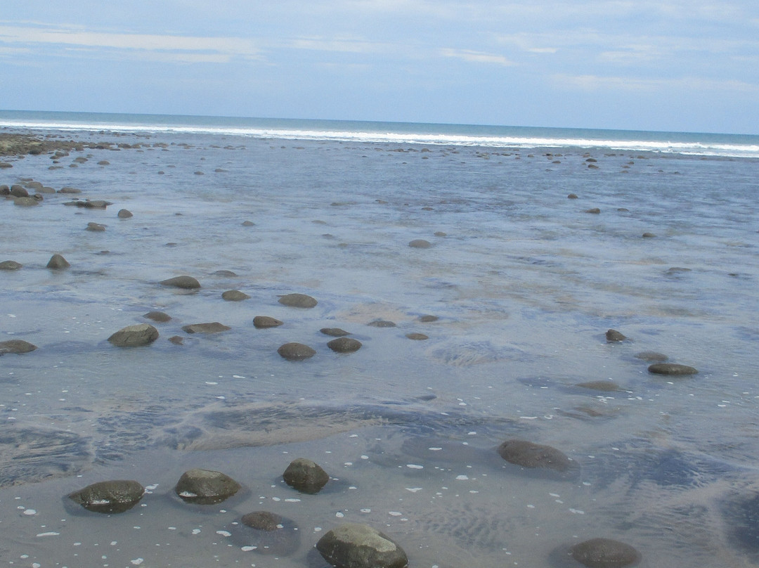 Bay View Hotel主图