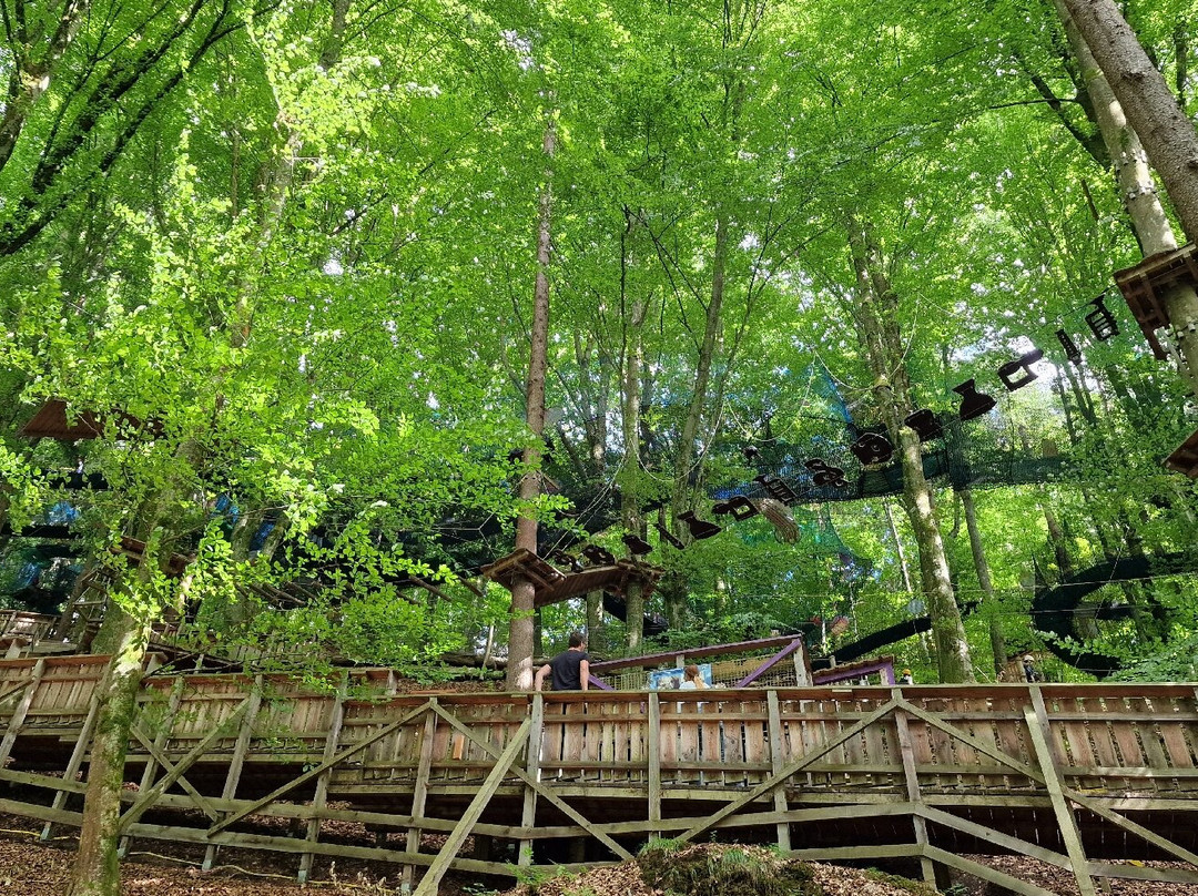 Familywald Ossiacher See-欧西亚赫必去景点