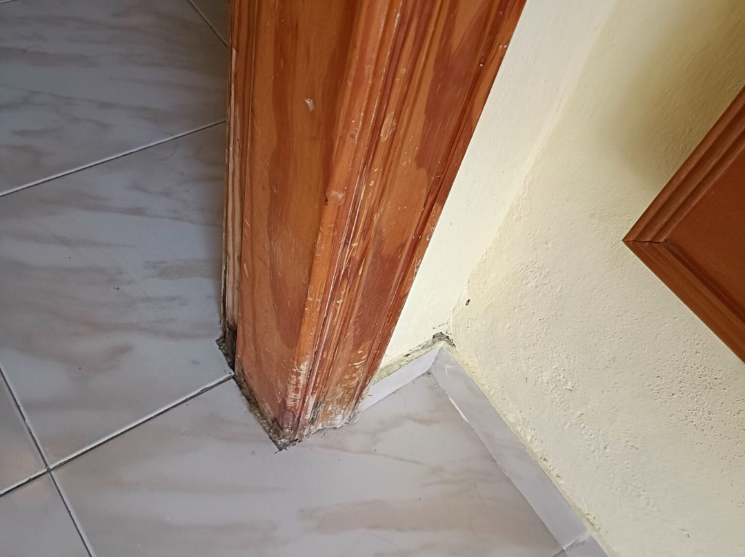 BLUESEA Callao Garden主图