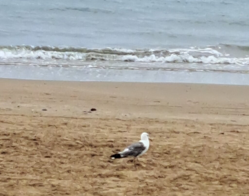 Albergo Villa Vittoria主图