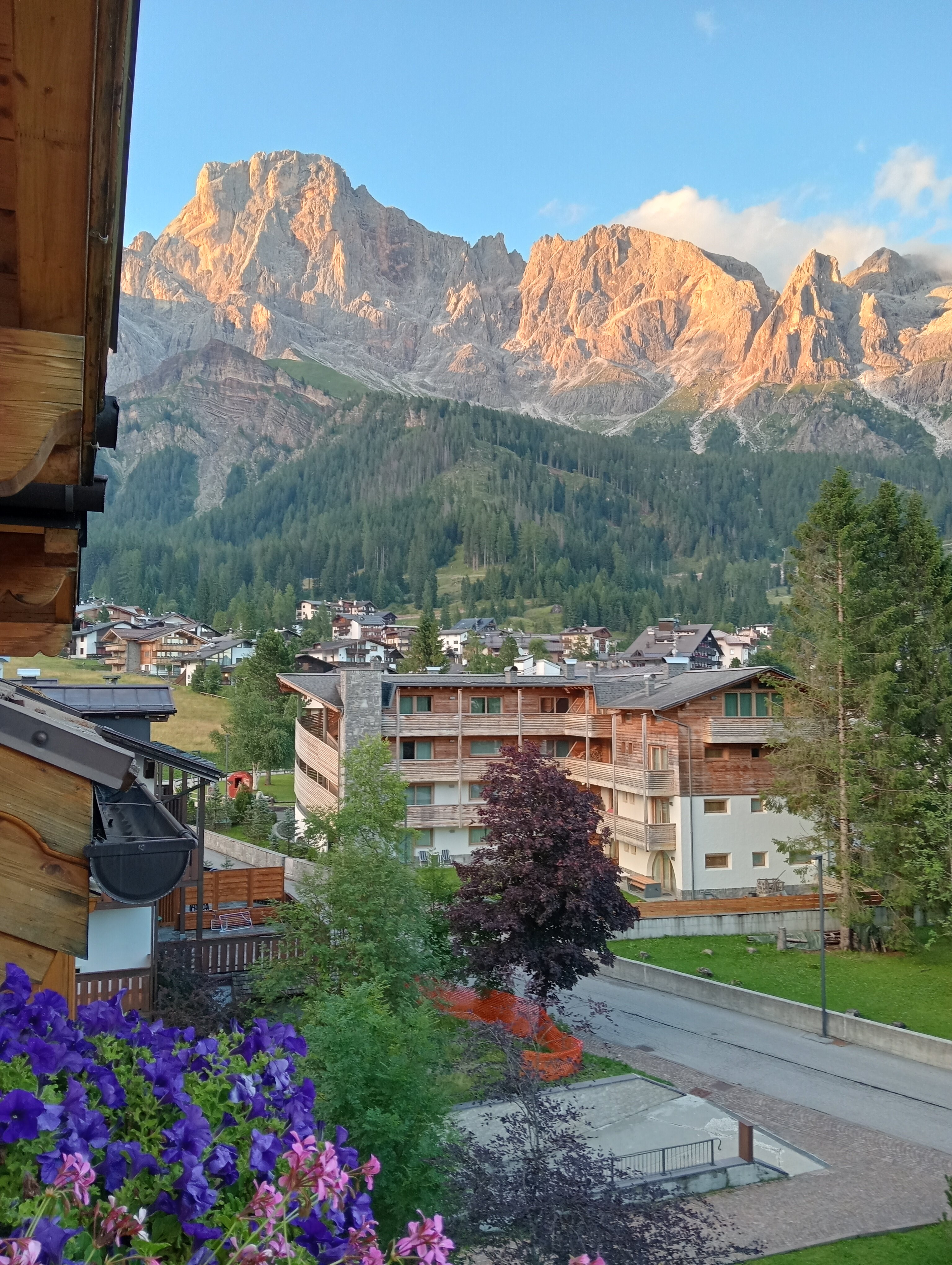 Hotel Vienna-酒店景观