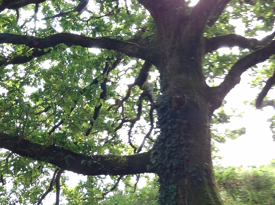 Kilkhampton to Coombe Valley-Kilkhampton必去景点