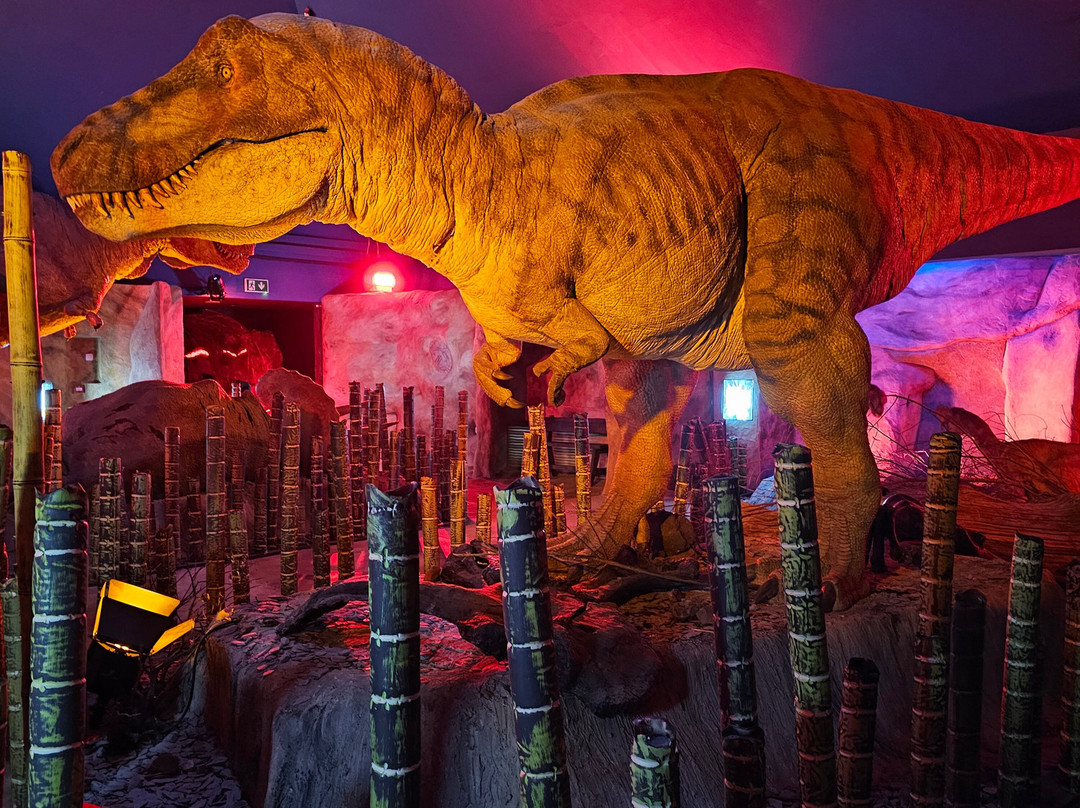 Jurassic Discovery-Seaton必去景点