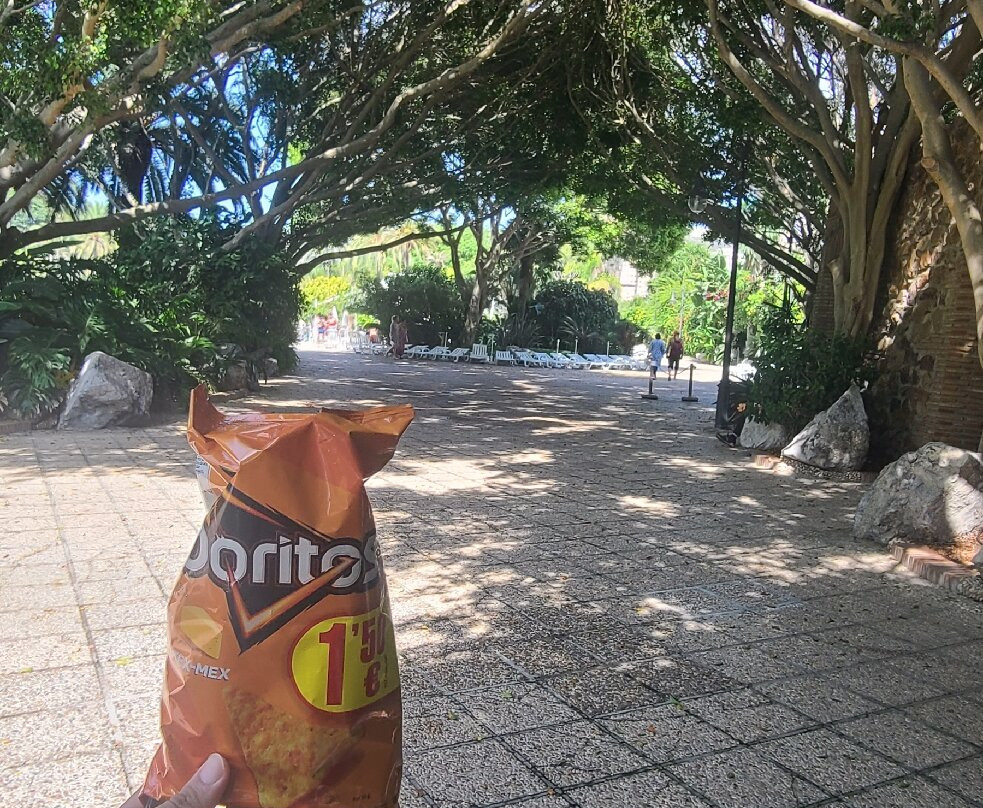 Parque Maritimo del Mediterraneo-Ceuta必去景点