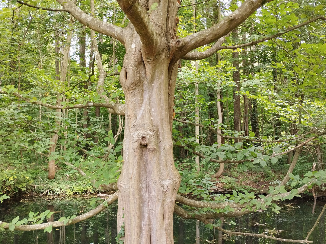 Château de Grouchy-Osny必去景点