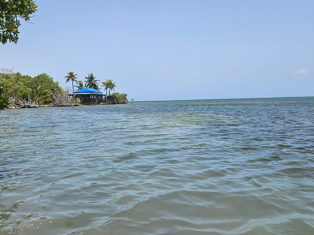 TI-Evasion Kayak de mer en Guadeloupe-Pointe-a-Pitre必去景点
