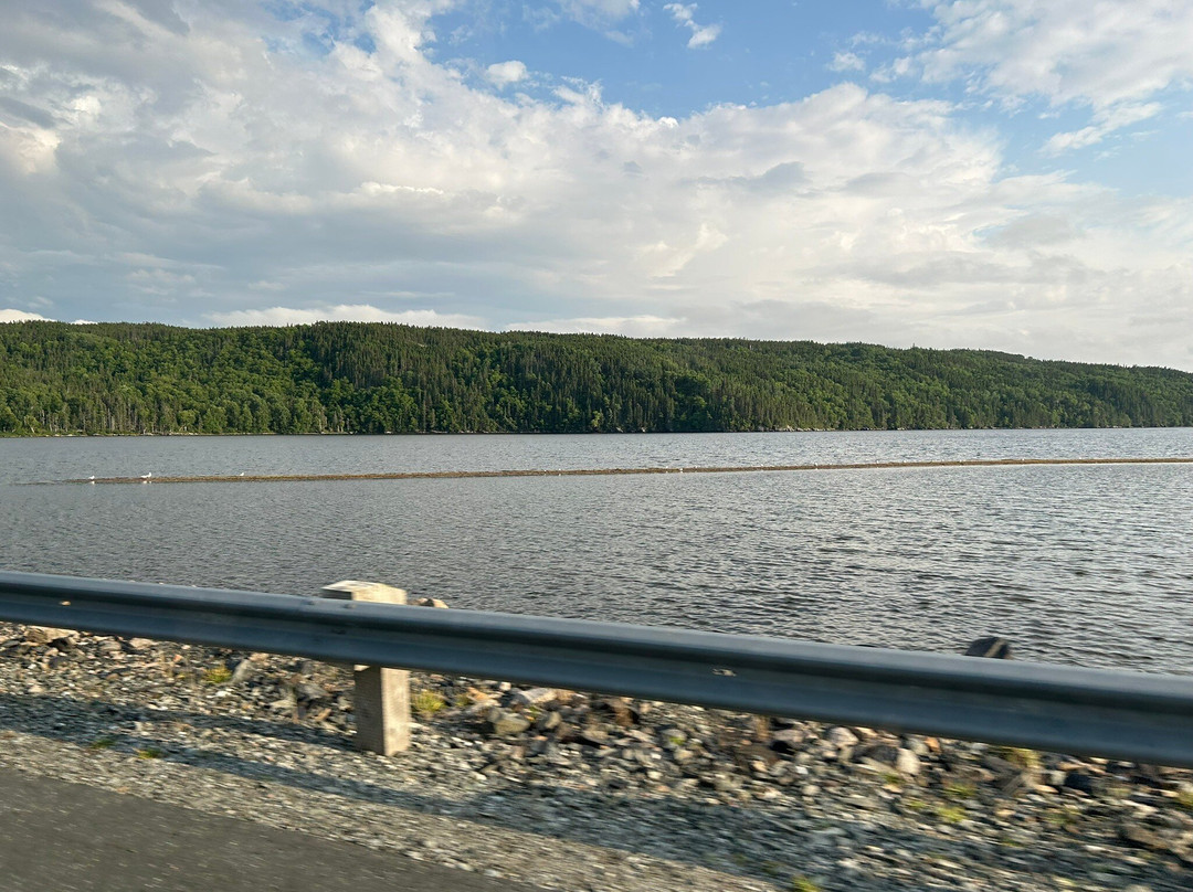 White Sails Inn & Cabins主图