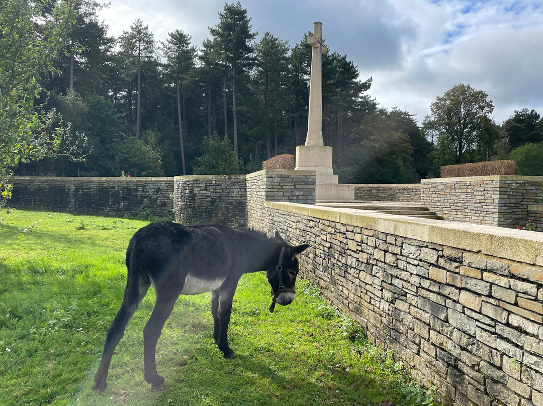 Polygon Wood Cemetery
