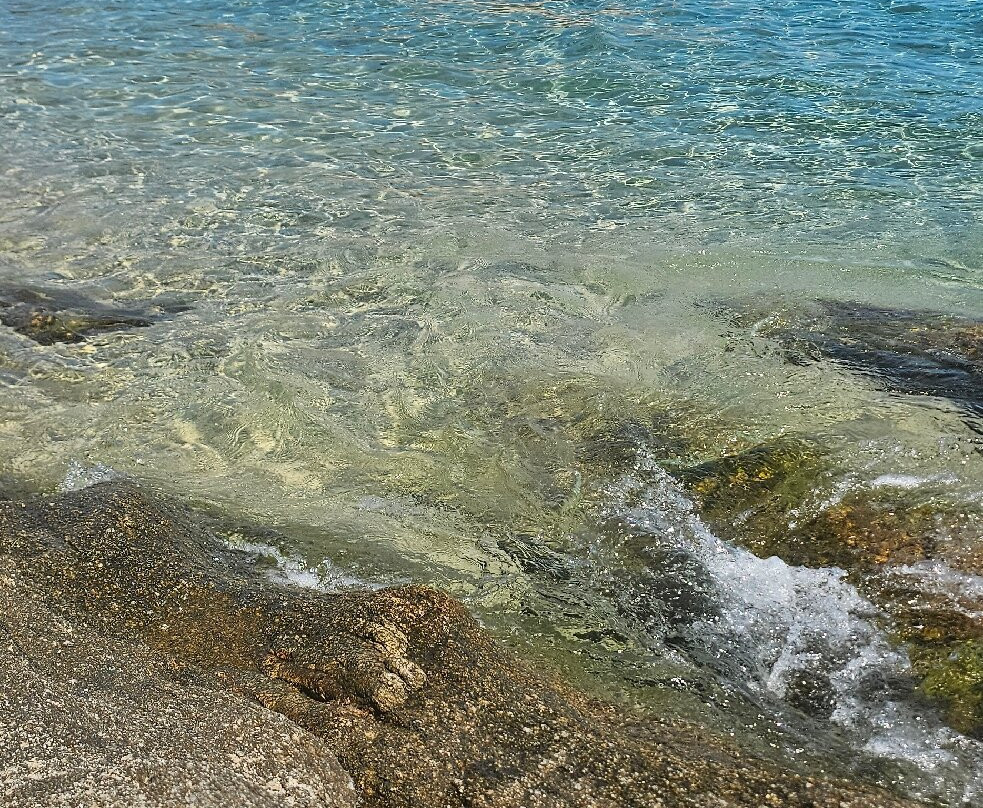 Spiaggia Arenella-Isola del Giglio必去景点