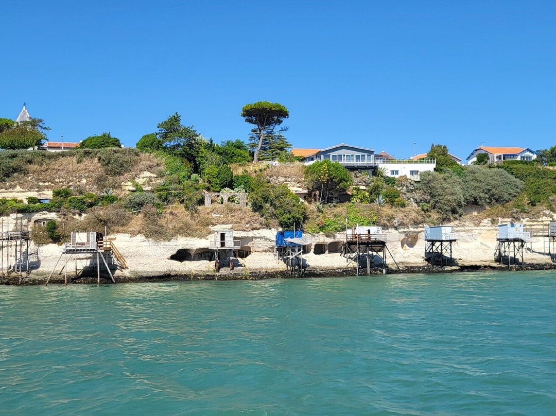 Croisières Les Vedettes la Bohème-Meschers-sur-Gironde必去景点