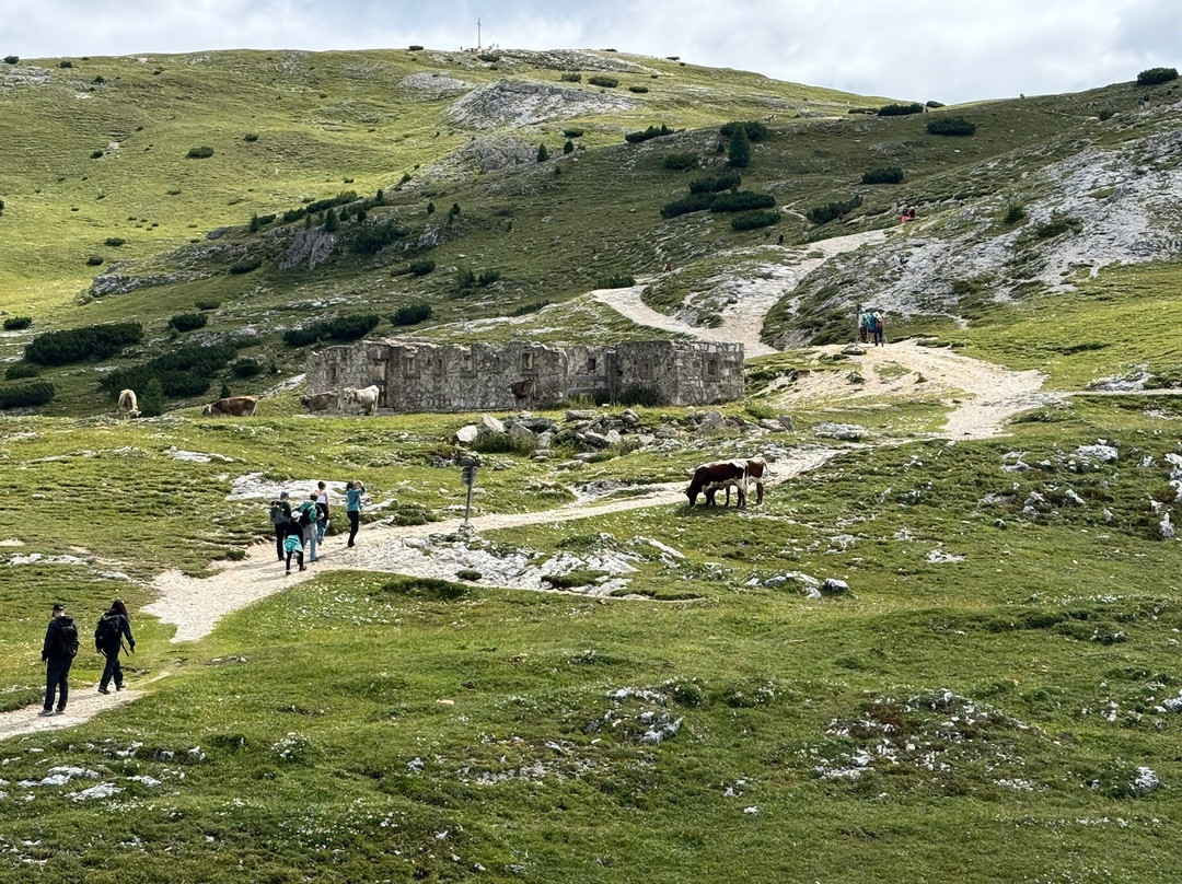 Escursione Sul Monte Specie-Braies必去景点