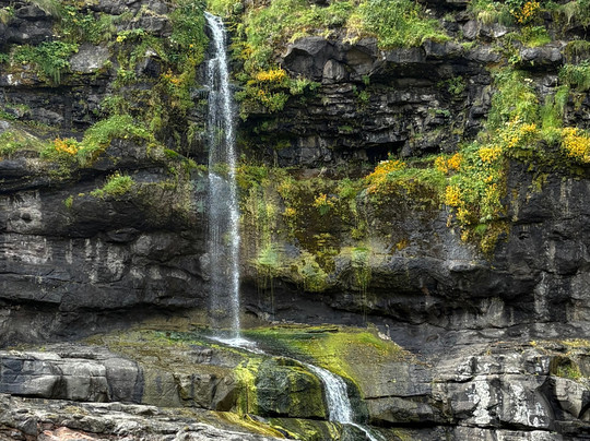 Isleborn Tours-Vestmanna必去景点