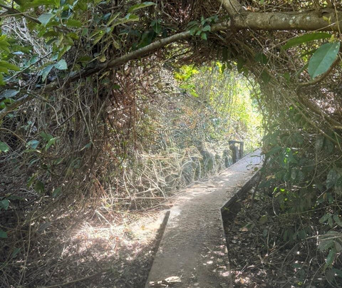 Pousada Vale Das Araras主图