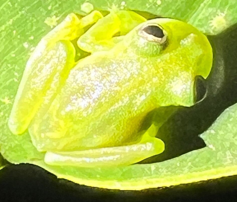 Arenal Vida Campesina-福德圣卡洛斯必去景点