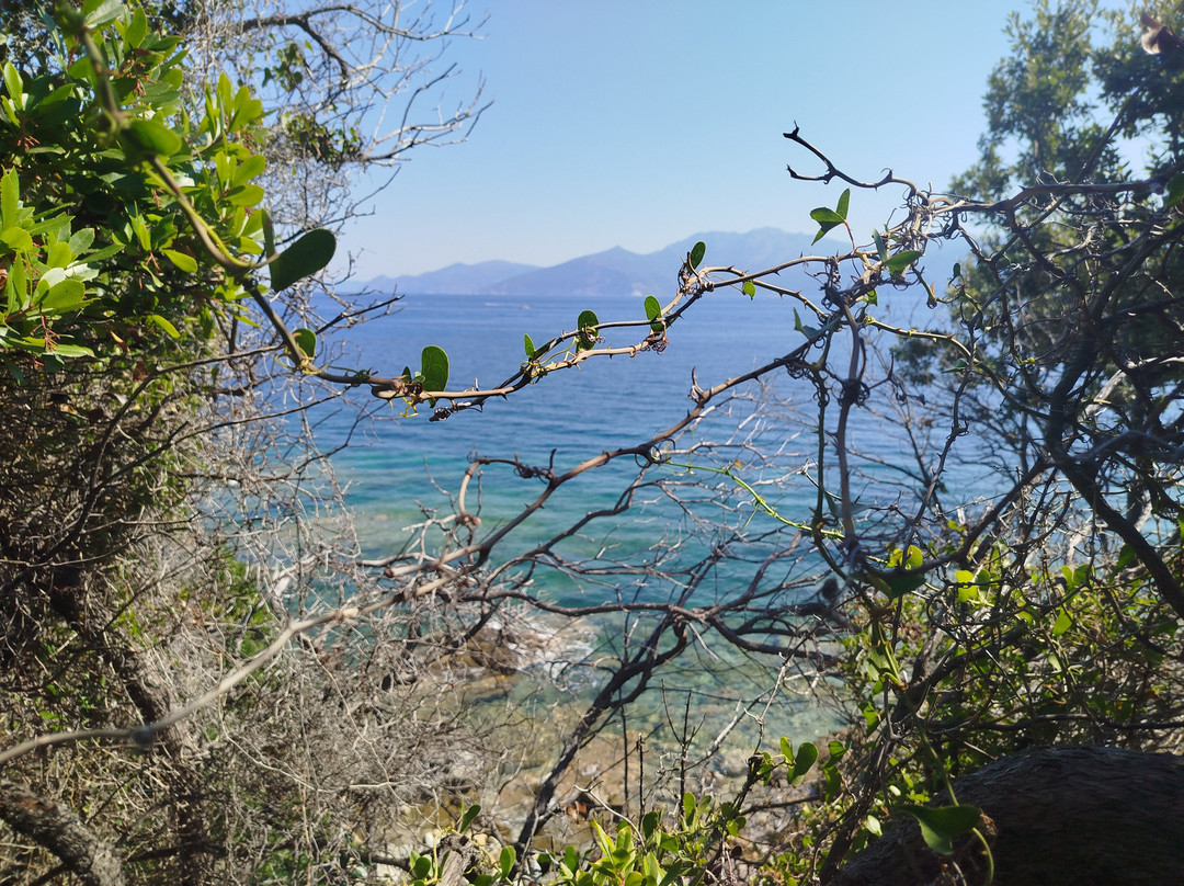 4x4 Agriates-Casta必去景点