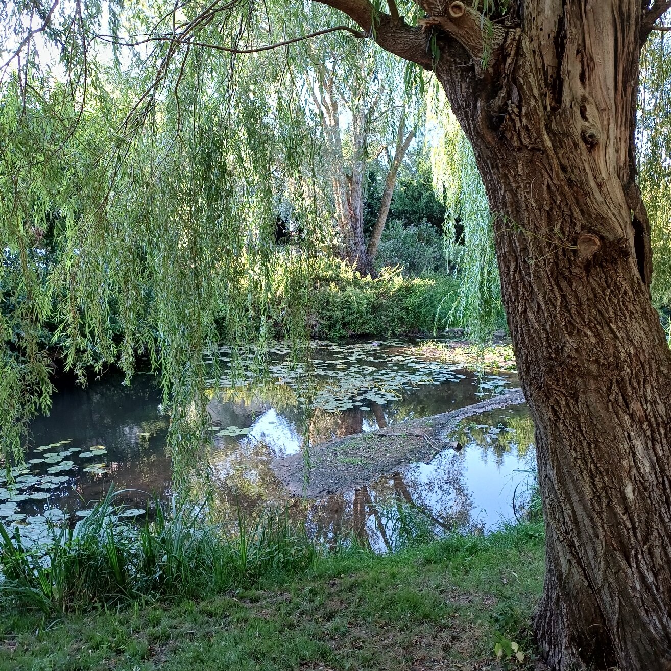 Moulin De Petoulle-官方