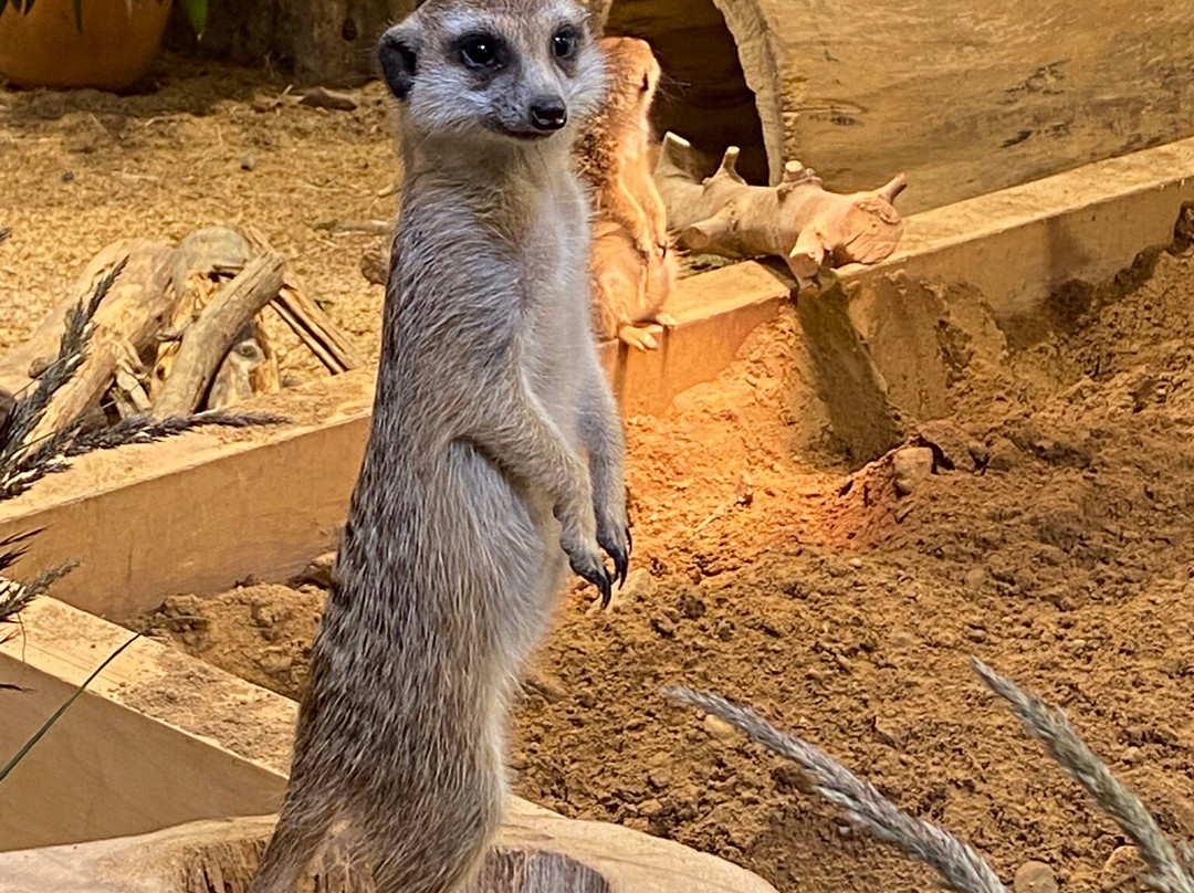 Zoopark Vilnius-维尔纽斯必去景点