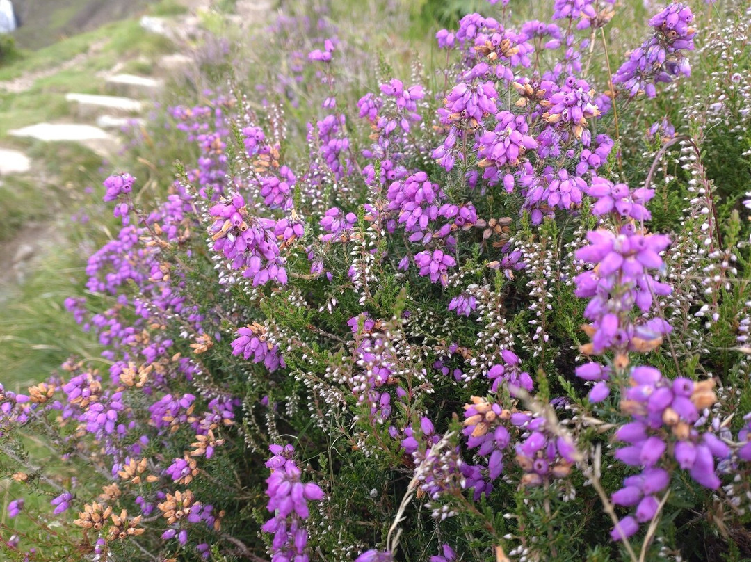 Grey Mare's Tail-Moffat必去景点