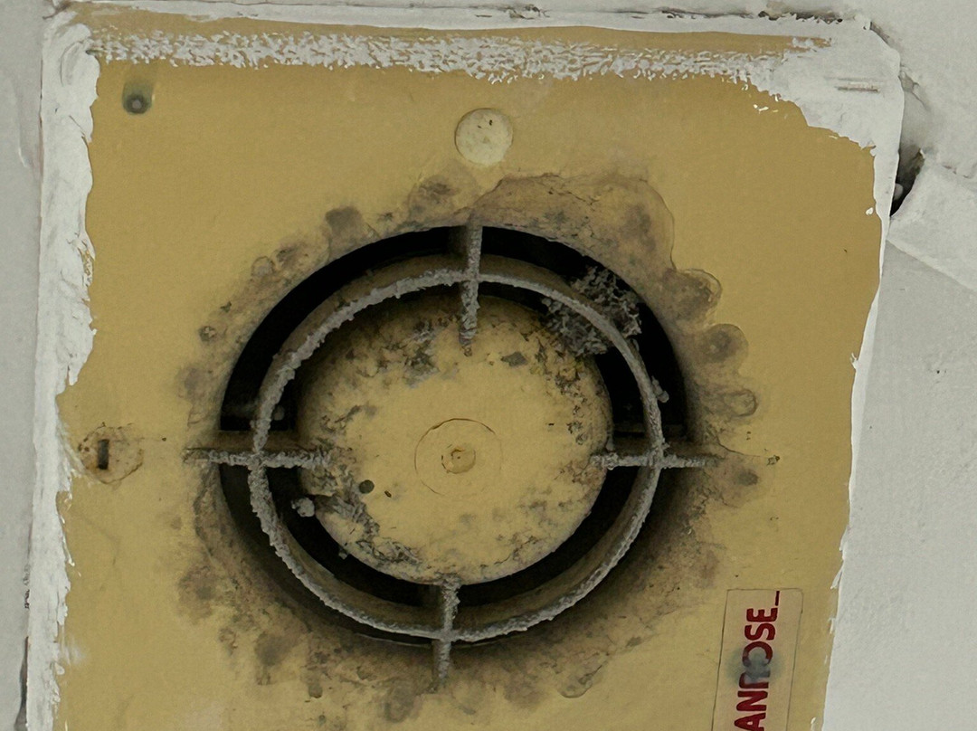 Kings Square Holiday Apartments主图