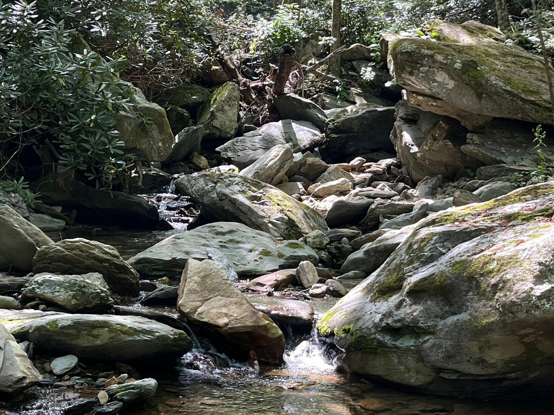 Otter Falls-Seven Devils必去景点