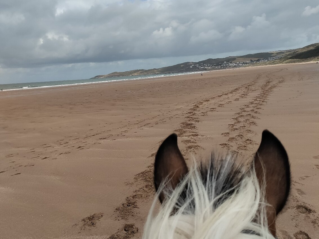 Woolacombe Riding Stables-伍拉科姆必去景点