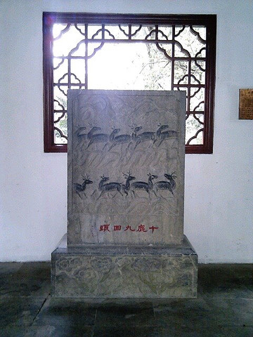 醉白池公园-上海市必去景点