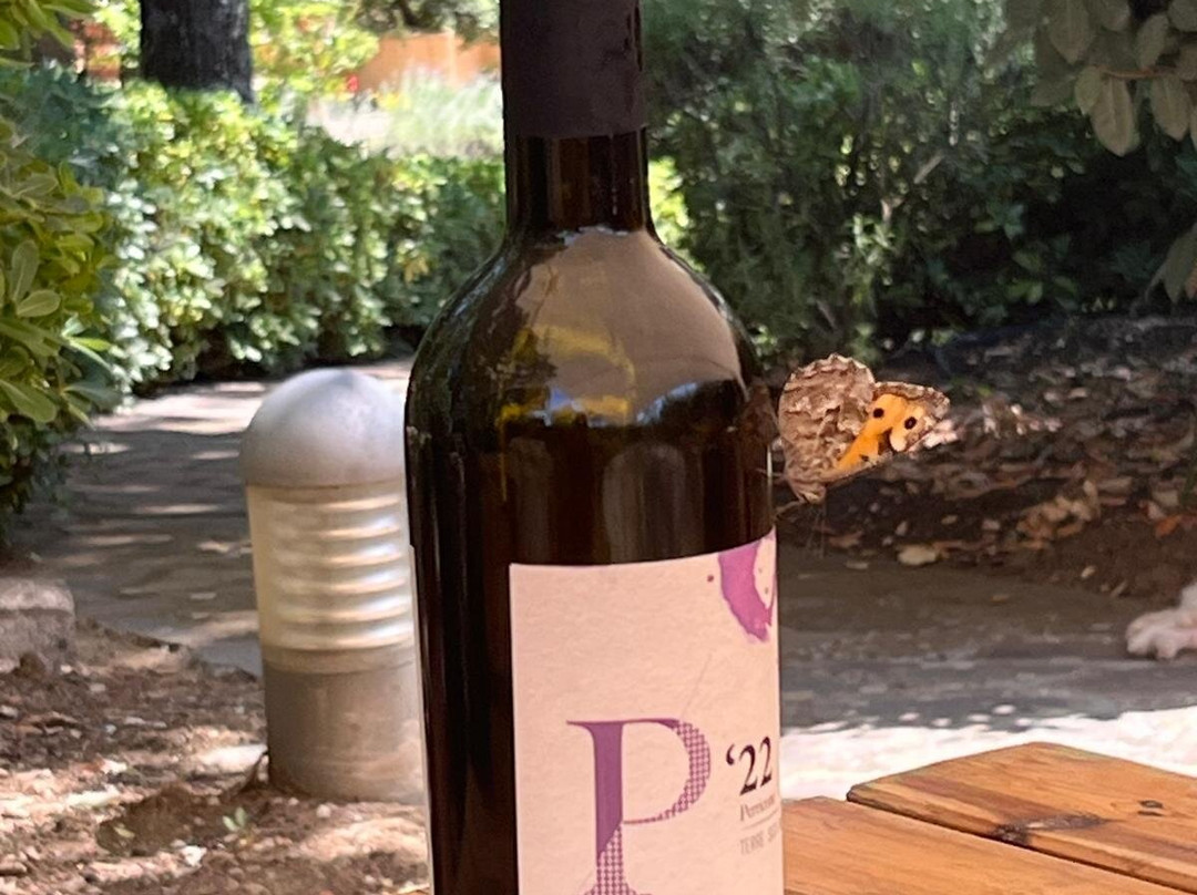 Tenuta San Giaime-Gangi必去景点