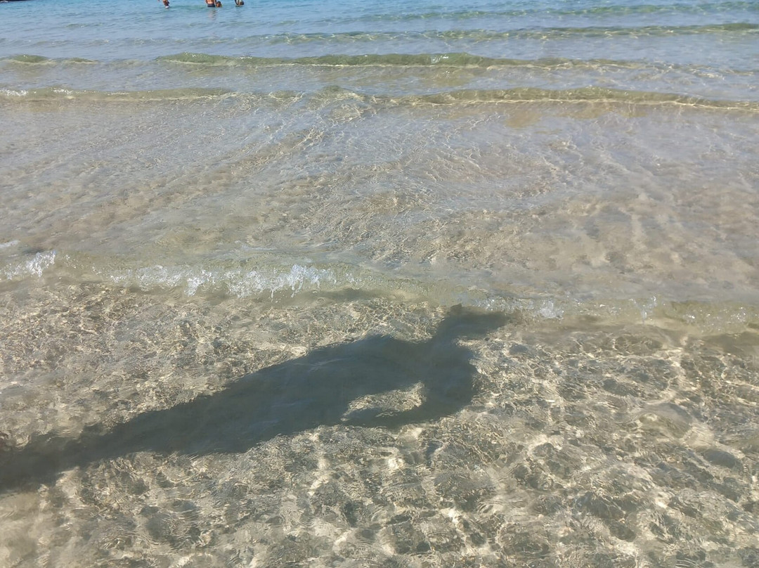 Spiaggia di Montedarena-Marina di Pulsano必去景点