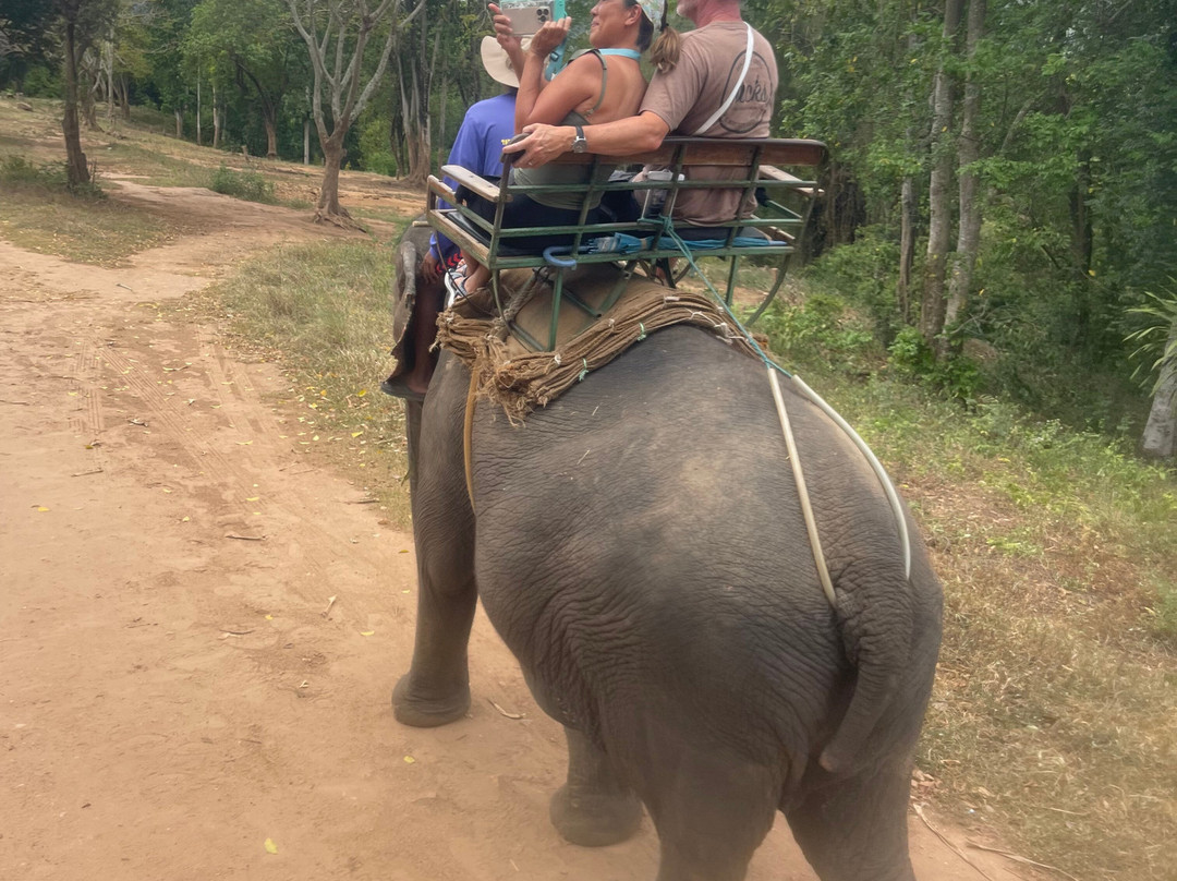 Taweechai Elephant Camp-北碧必去景点
