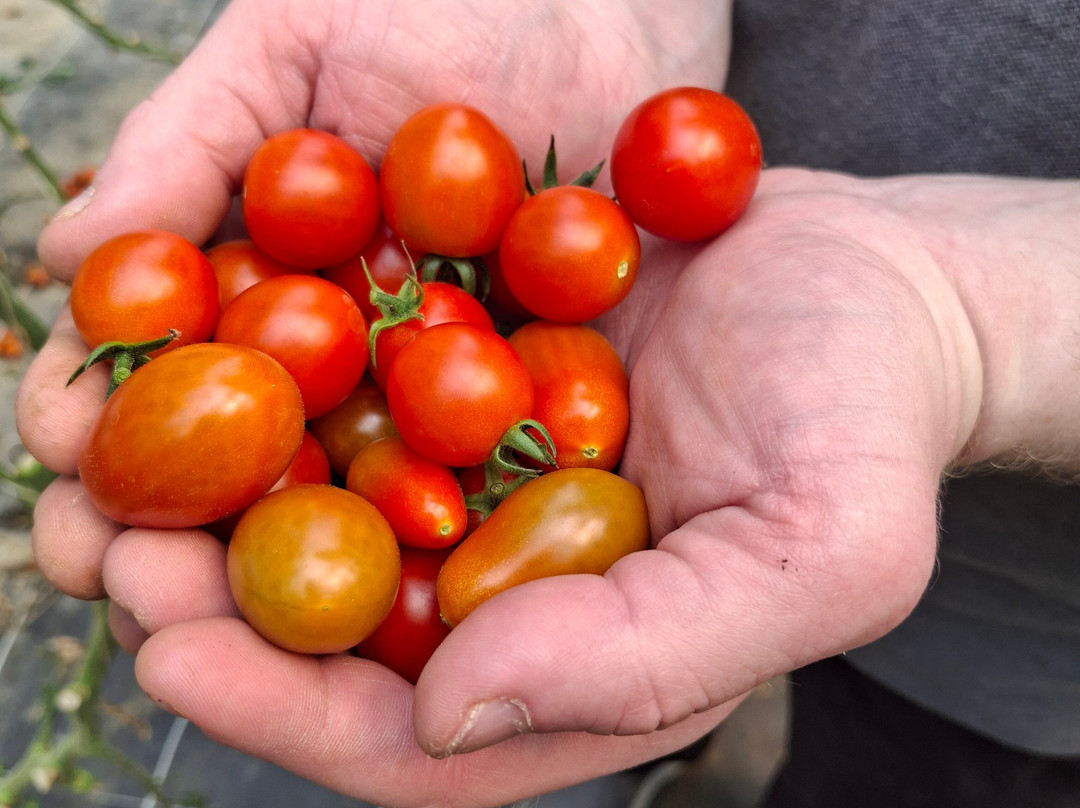 La Ferme de Rutel Cueillette-Villenoy必去景点