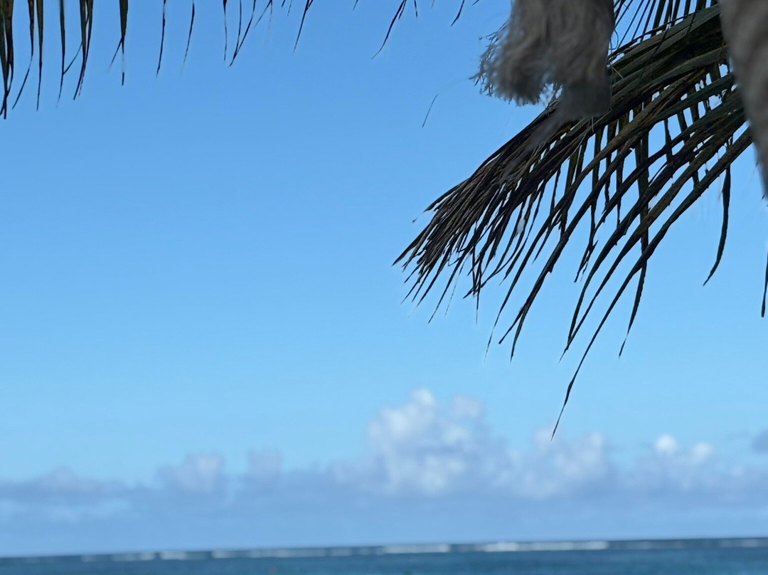 Royal Bay Beach Club-皇家沙滩必去景点