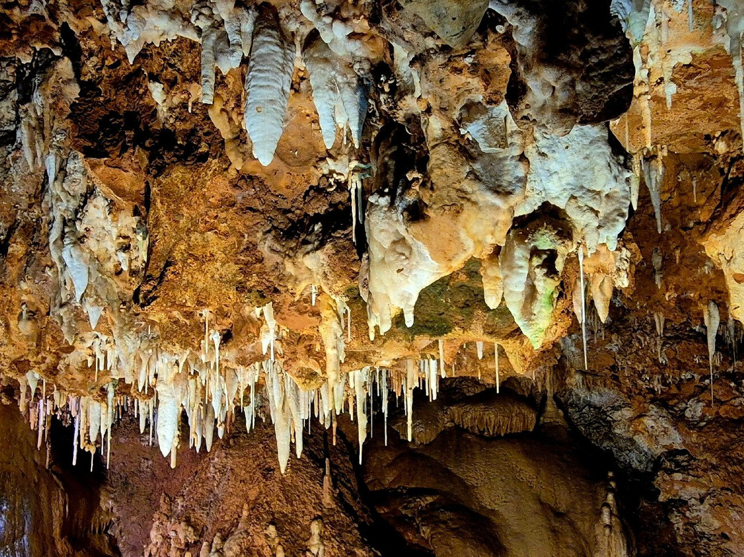 Grotte de Saint-Cézaire-Saint-Cezaire-sur-Siagne必去景点