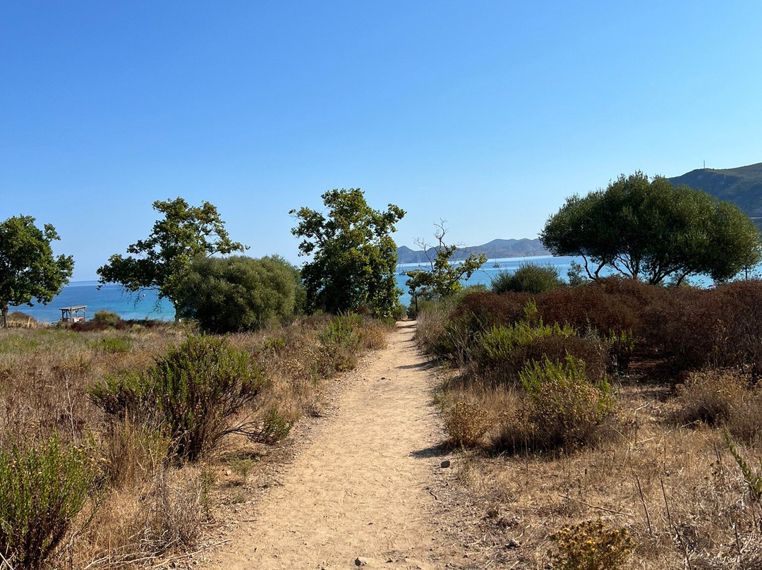Plage de Lozari-Belgodere必去景点
