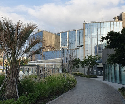 新罗舒泰普拉斯梨湖田屋海滨酒店主图