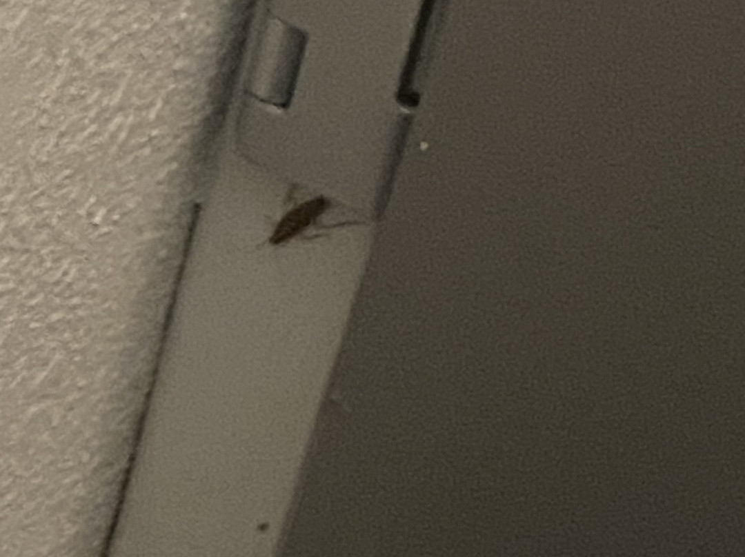 Comfort Inn & Suites Sharonville - Cincinnati North主图