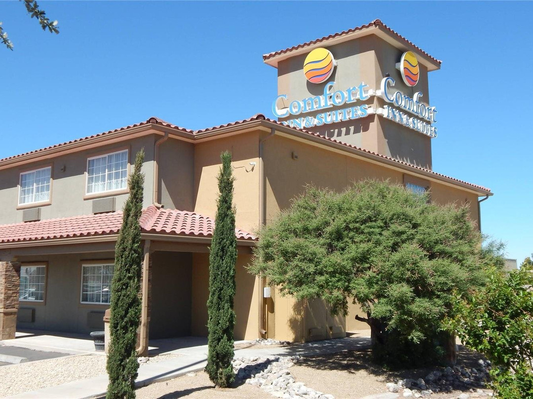 拉斯克鲁塞斯酒店住宿-Comfort Inn & Suites Las Cruces Mesilla
