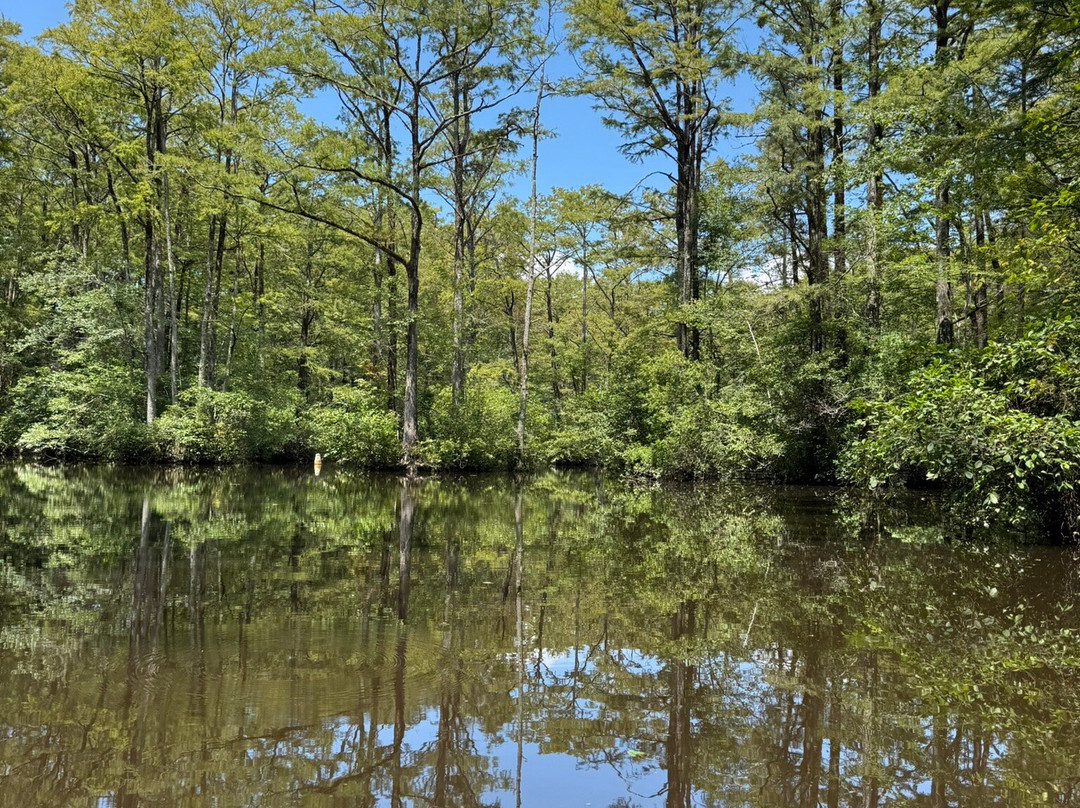 Tar River Life-Bunn必去景点