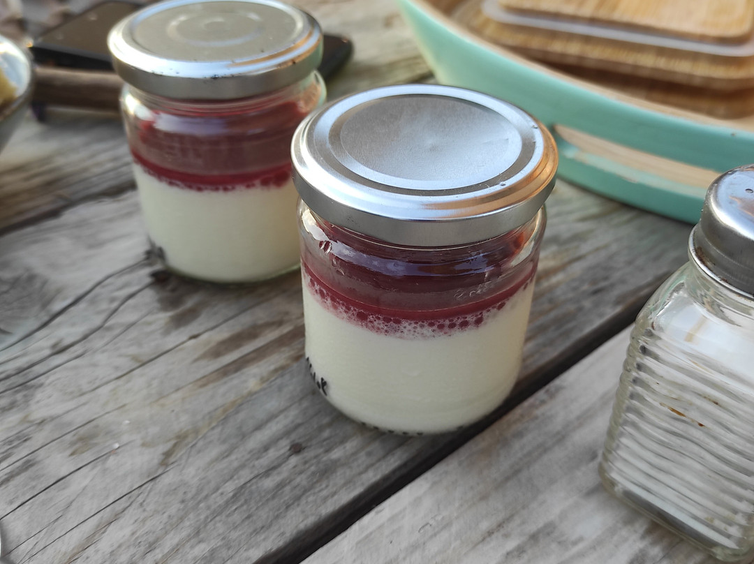 Hôtel Almanarre Plage主图