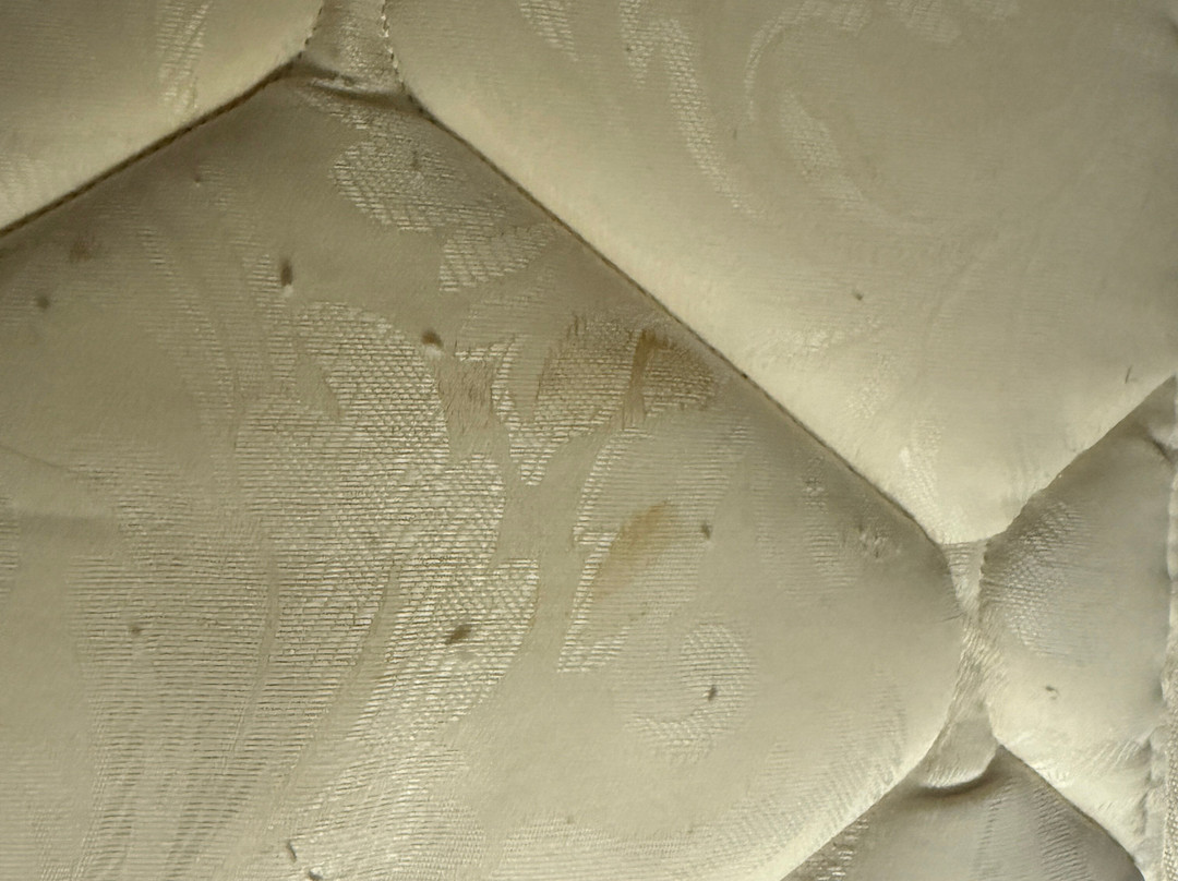 Sheraton Suites Chicago Elk Grove主图