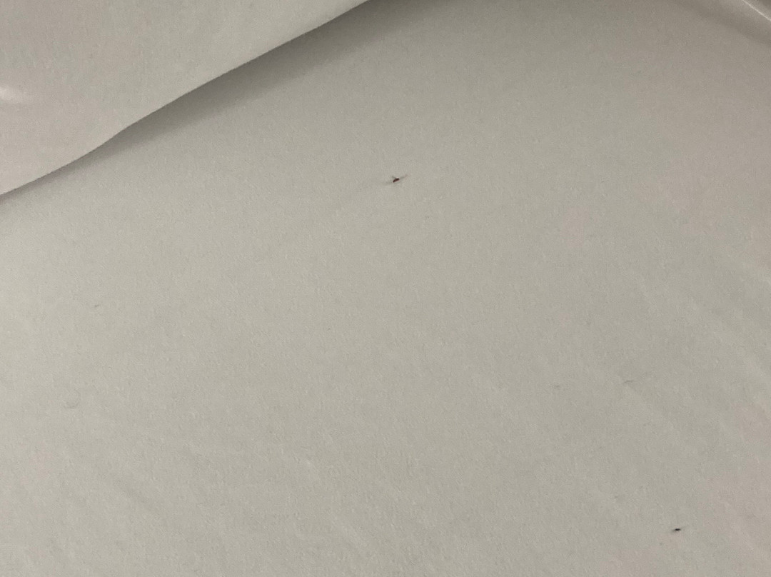 Wingate by Wyndham Athens near Downtown主图