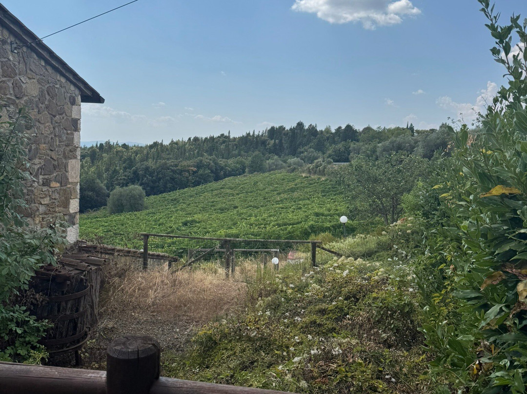 Sant'Agnese Farm-卡斯特利纳－因基安蒂必去景点