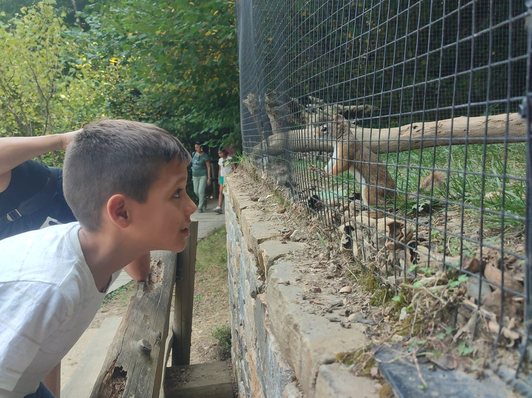 Aran Park-Bossost必去景点