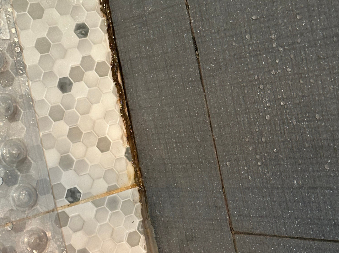 贝斯特韦斯特山景旅馆主图