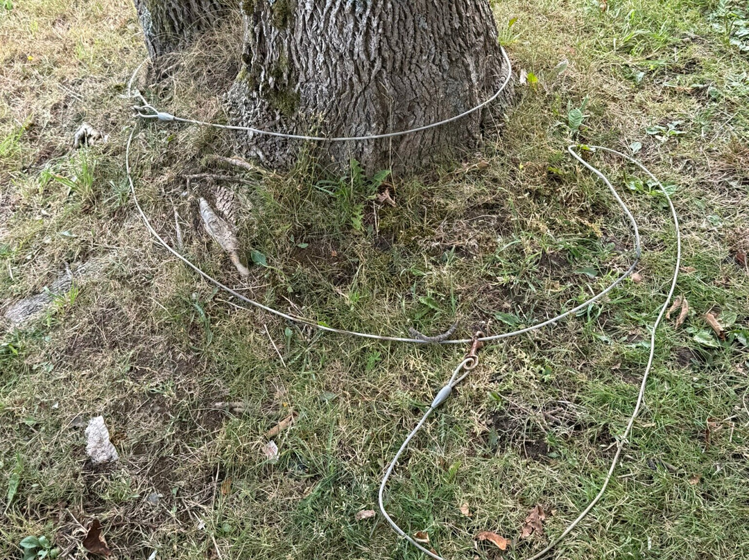 Inverary Resort主图