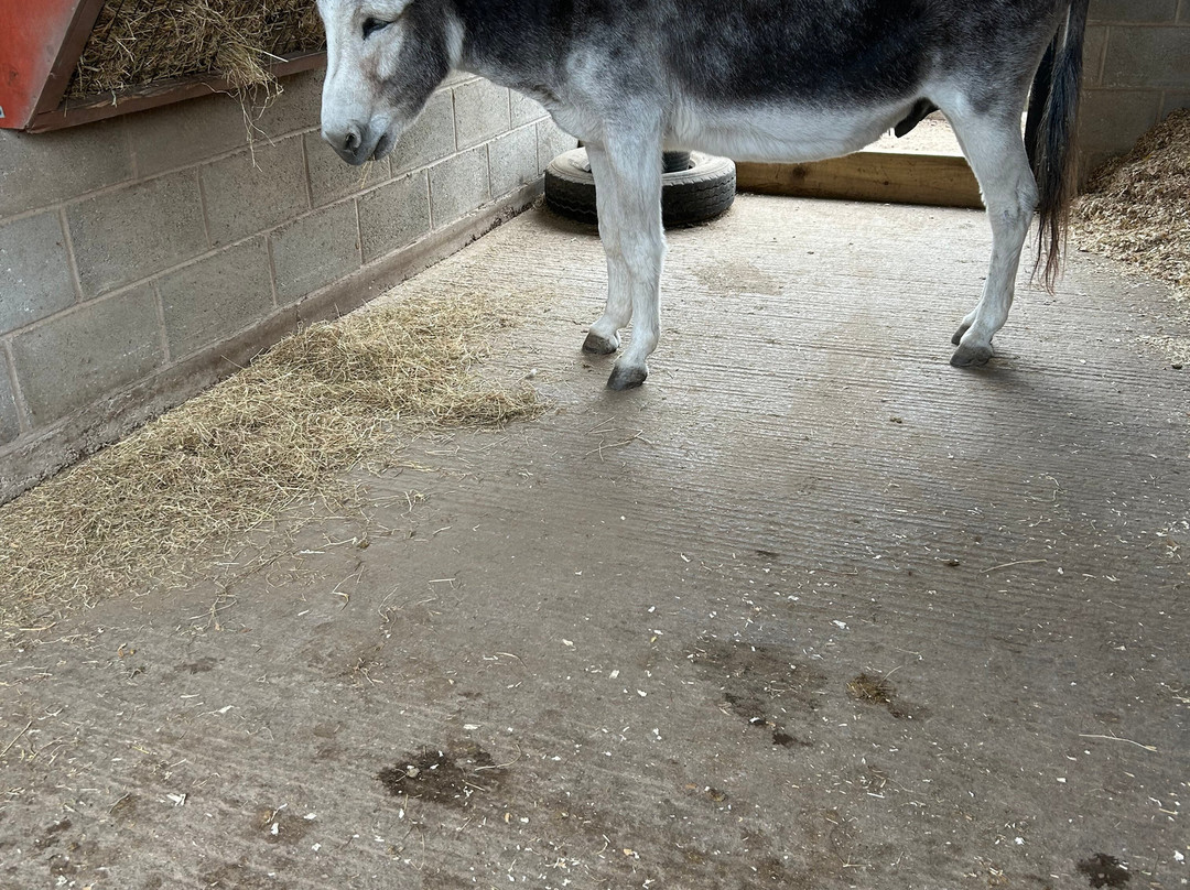 Hayrack Church Farm-Thornton-le-Moors必去景点